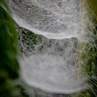 It's Good To Booby Trap Your Life?