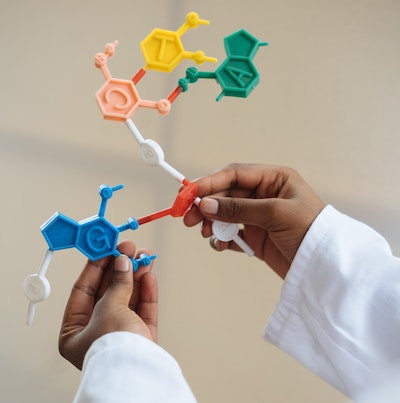 The Science of Creativity