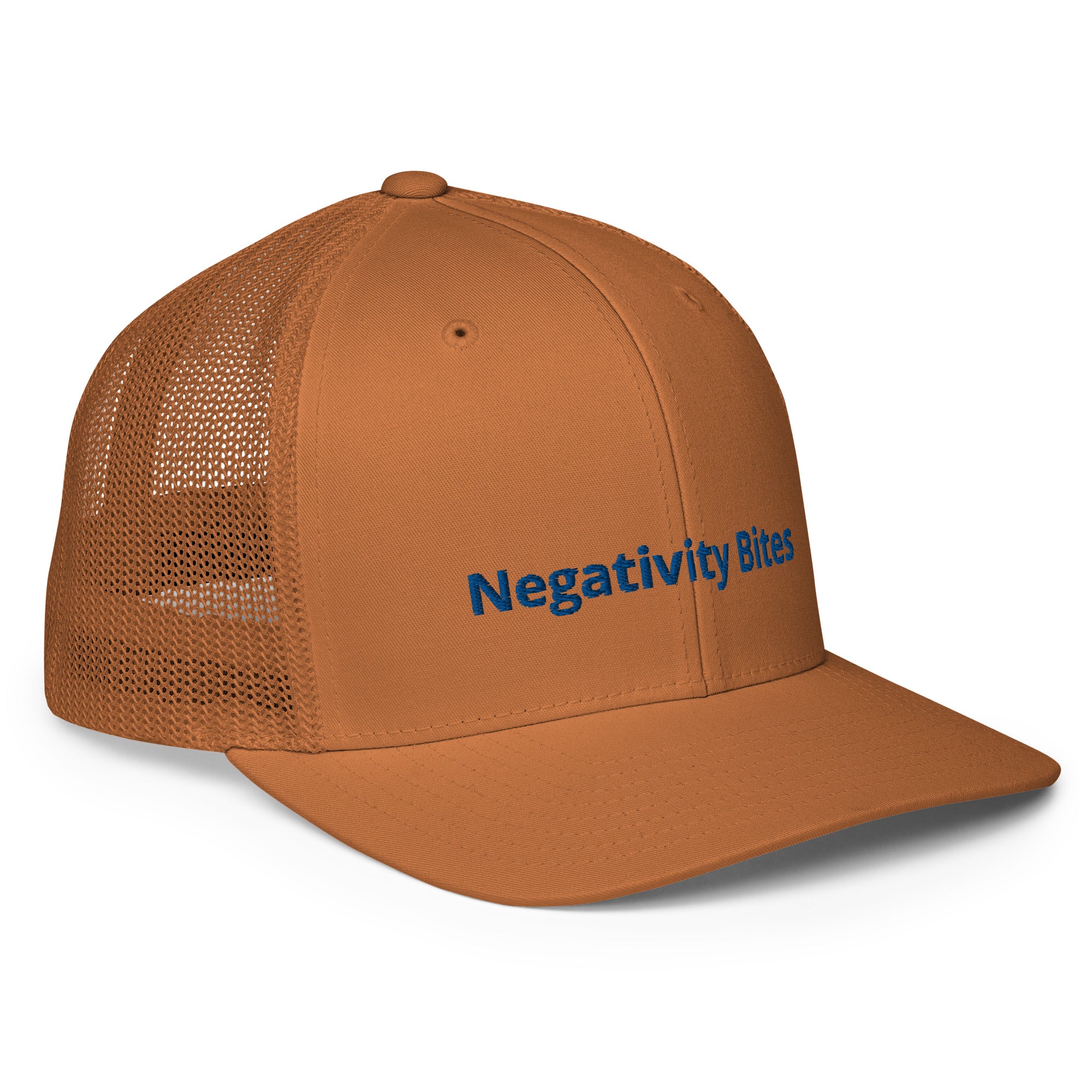 The Negativity Bites Embroidered Flex Fit Hat