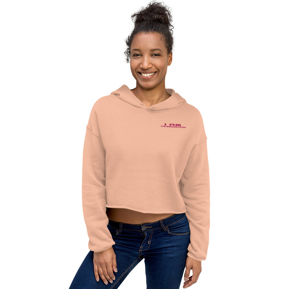 I Am The Groovalution Embroidered Hoodie