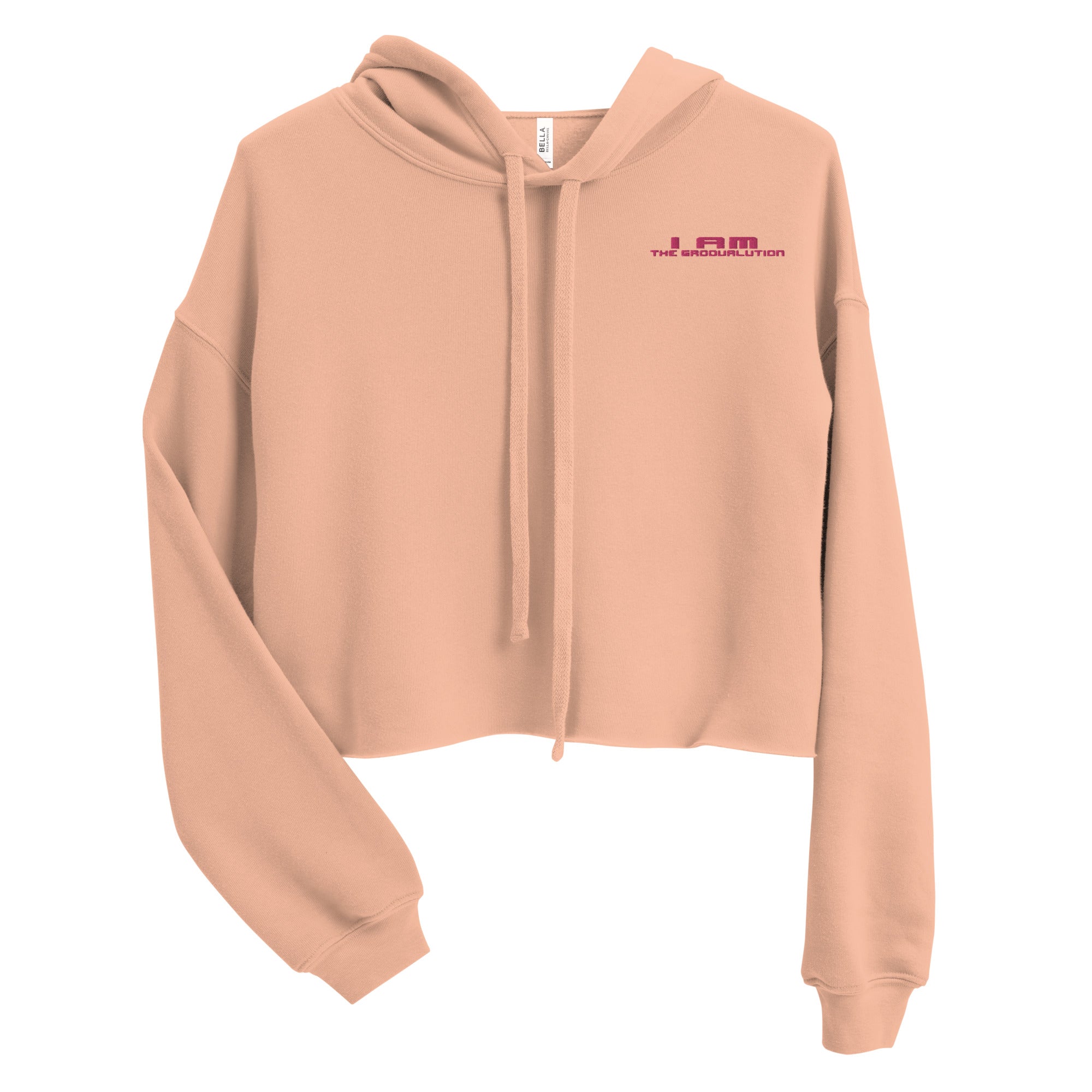 I Am The Groovalution Embroidered Hoodie