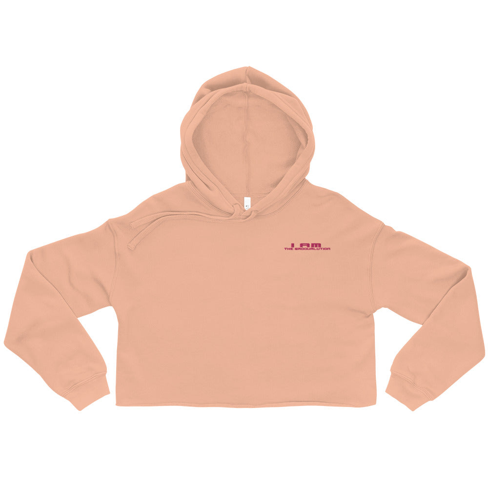 I Am The Groovalution Embroidered Hoodie