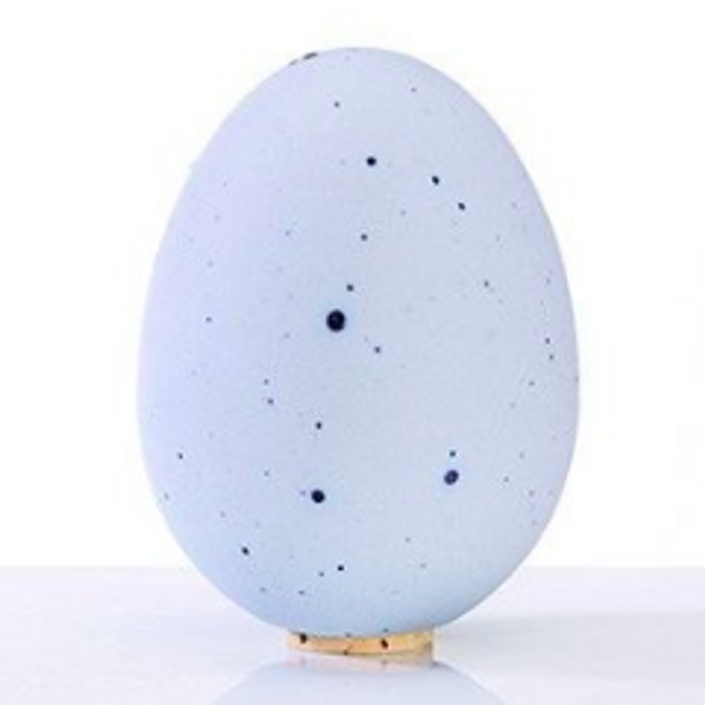 The EI Egg Saltshaker