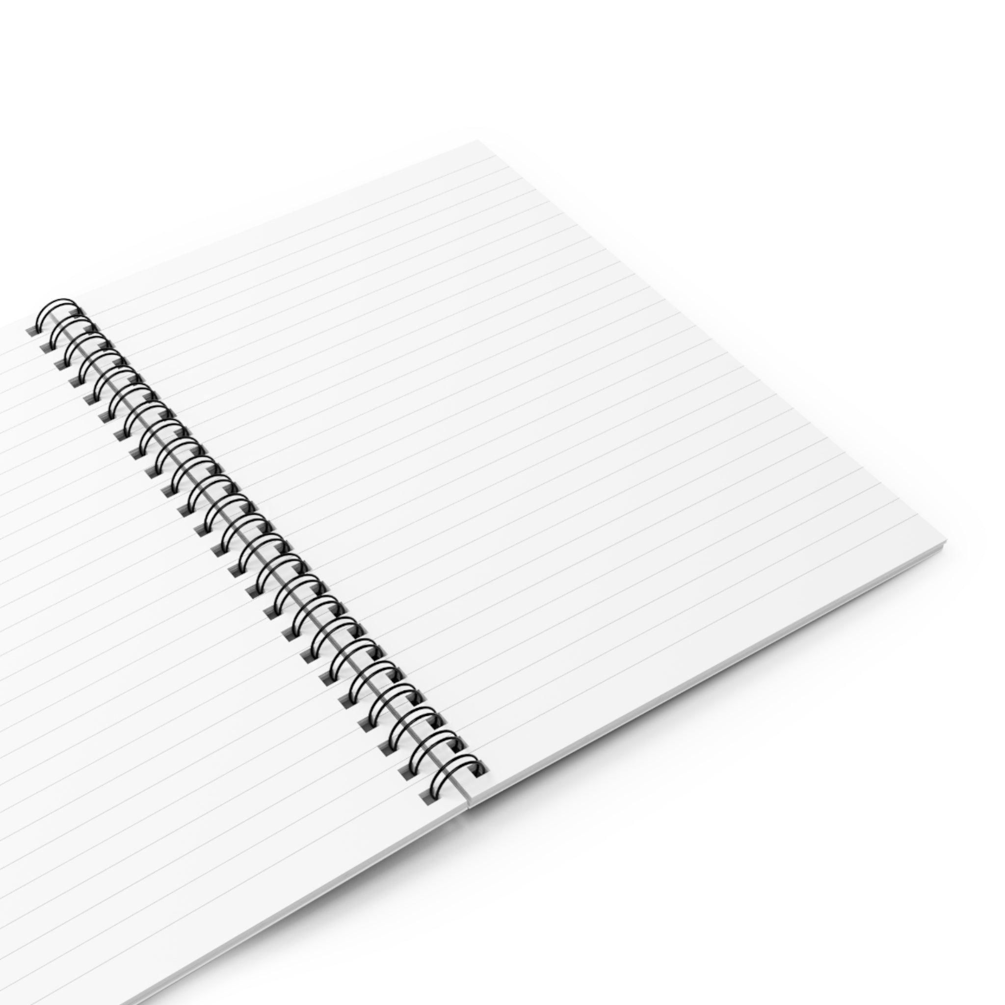 The Ship That Takes No Ship Journal