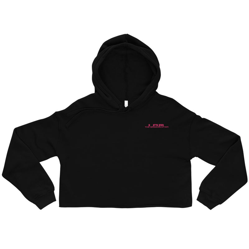 I Am The Groovalution Embroidered Hoodie