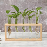 Glass and Wood Vase Planter