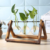 Glass and Wood Vase Planter