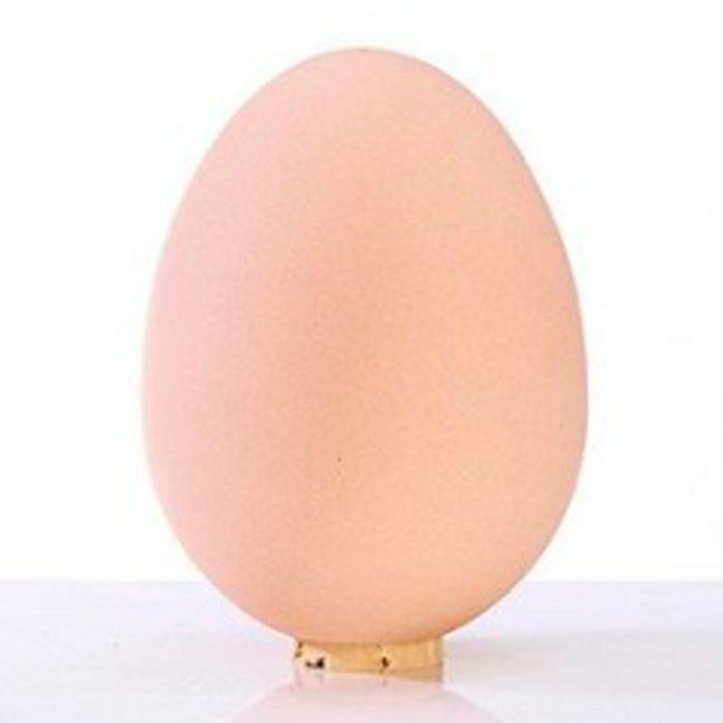 The EI Egg Saltshaker